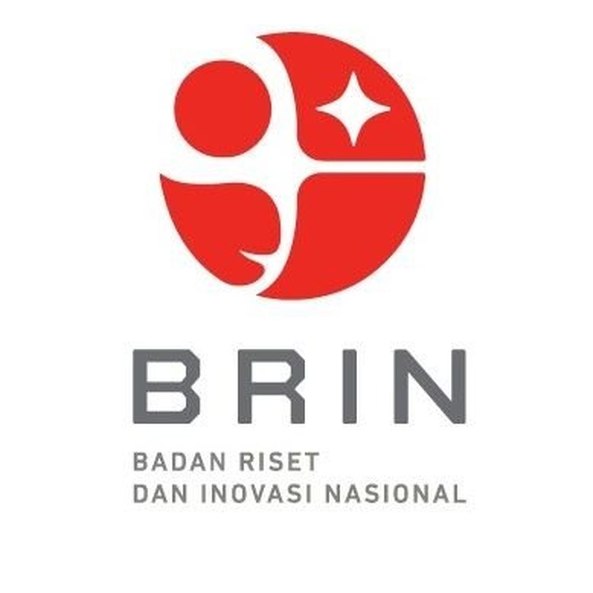 Home logo brin dok brinindonesia